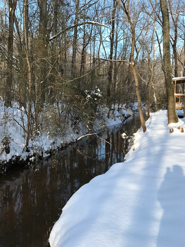 Creek in winter